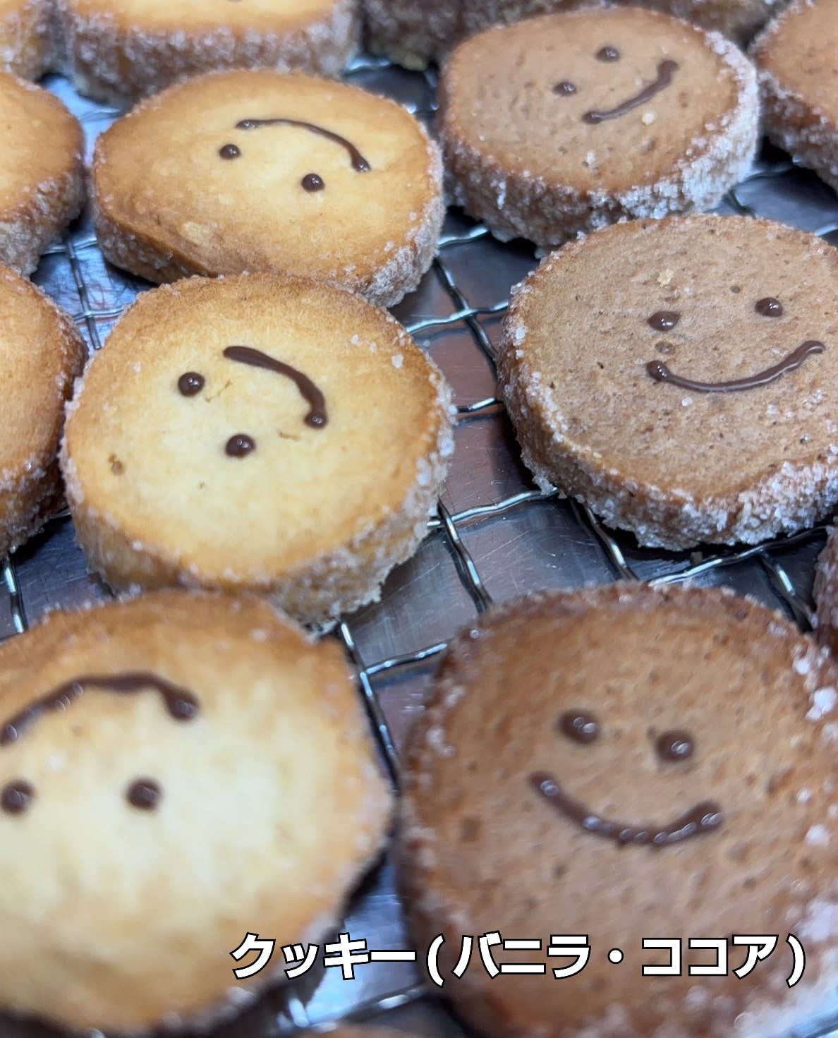 25-11-09-17-26-36-168_deco[1]